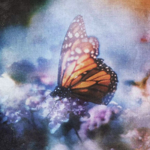 笔盒beatbox在线观看
