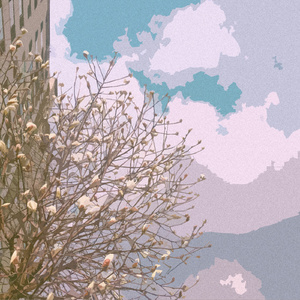 笔盒beatbox在线观看
